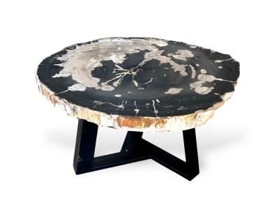 TAVOLINO CON TRONCO DI ALBERO PIETRIFICATO HELGA