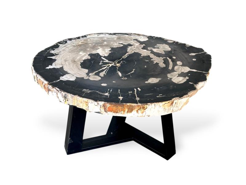 PETRIFIED TREE TRUNK COFFEE TABLE HELGA