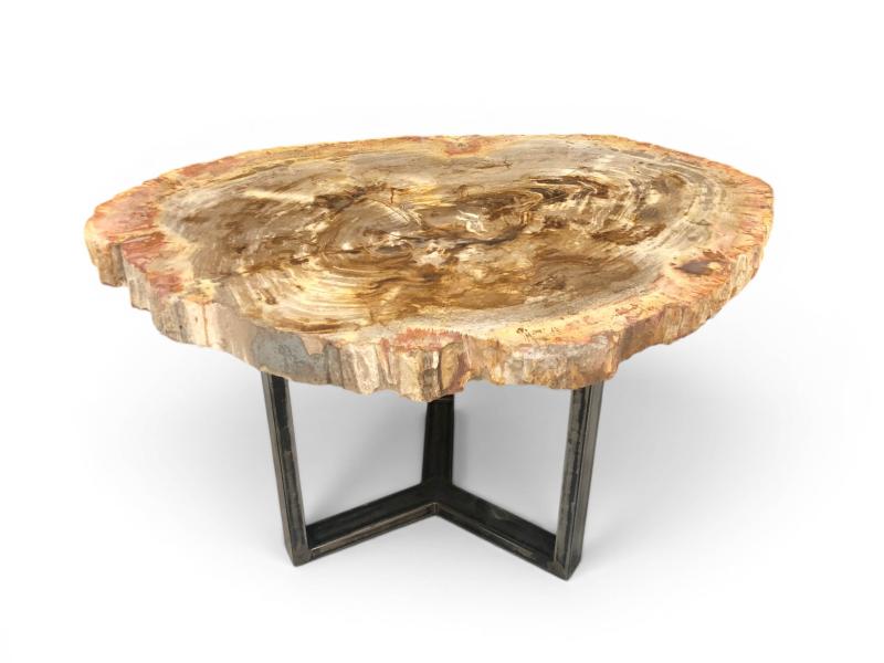 FOSSIL BROWN COFFEE TABLE SOHO