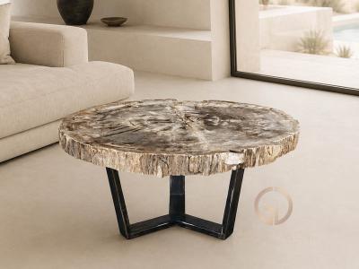 TABLE BASSE EXCLUSIVE EN BOIS PETRIFIE PONZA