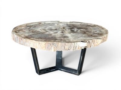EXKLUSIVER COUCHTISCH AUS VERSTEINERTEM HOLZ PONZA