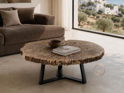 TABLE BASSE AMBRE EN BOIS PETRIFIE SIRACUSA