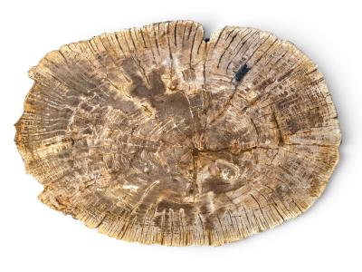 MESA AMBAR DE MADERA PETRIFICADA SIRACUSA