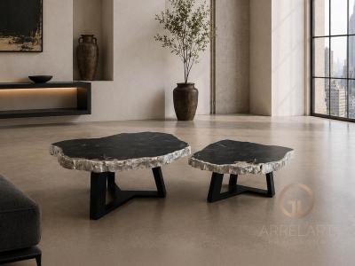 SET DE TABLE BASSE EN BOIS PETRIFIE MALDIVES
