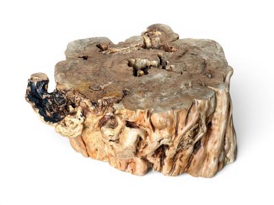 TABLE BASSE EN BOIS MASSIF SORRENTE
