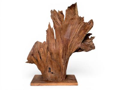 TEAK SCULPTURE VALENCIA