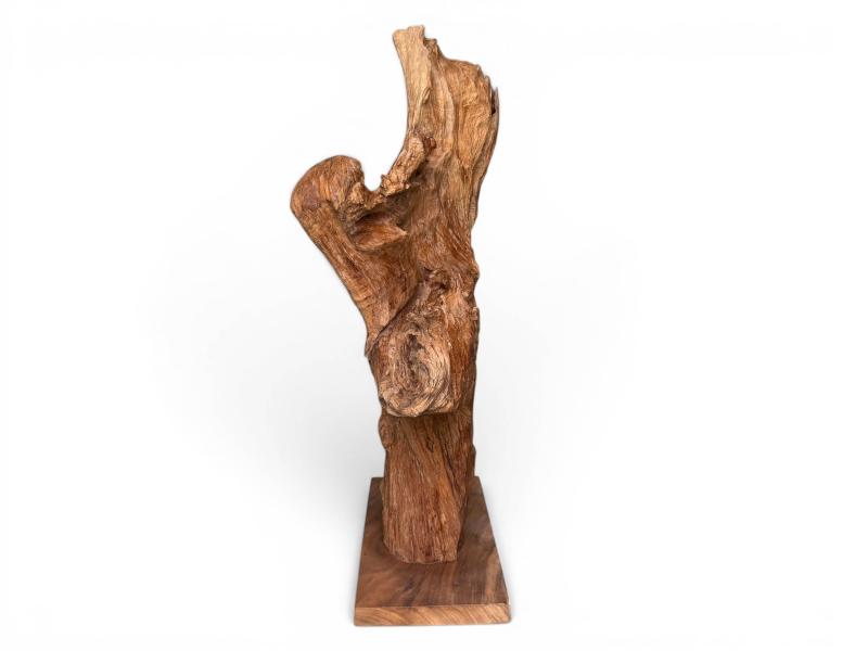 TEAK SCULPTURE VALENCIA