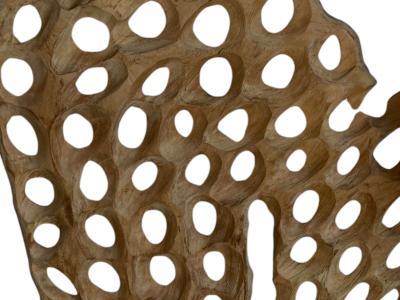 ESCULTURA ABSTRACTA DE TECA PUGLIA
