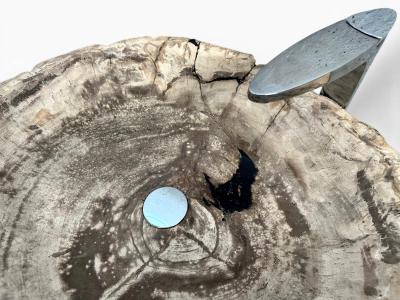 PETRIFIED WOOD WASHBASIN SASHA