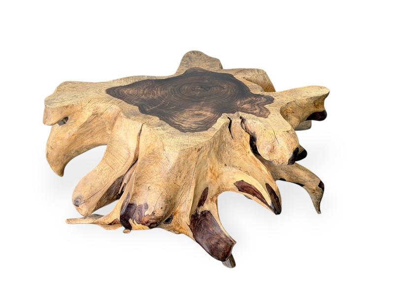 MESA DE CENTRO DECORATIVA DE MADERA ARUNA