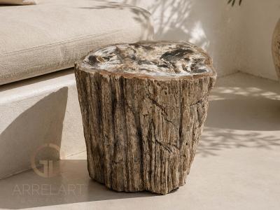TABLE D APPOINT EN BOIS PETRIFIE BLANCHE