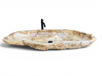 FOSSILIZED WOODEN WASHBASIN LEGIAN