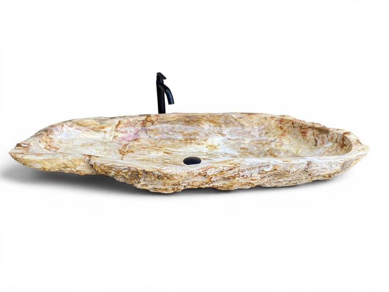 VASQUE DE BAIN EN BOIS FOSSILISE LEGIAN