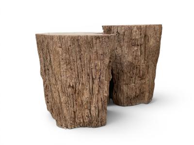 PAIR OF DECORATIVE STOOLS IN PETRIFIED WOOD