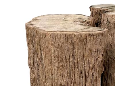 PAIR OF DECORATIVE STOOLS IN PETRIFIED WOOD