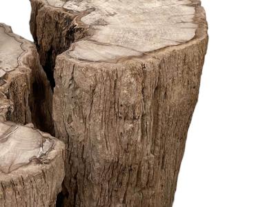 PAIR OF DECORATIVE STOOLS IN PETRIFIED WOOD