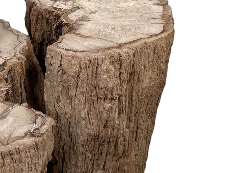 PAIR OF DECORATIVE STOOLS IN PETRIFIED WOOD