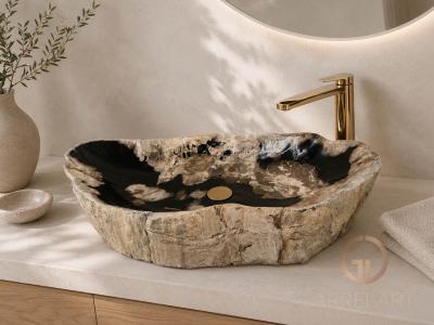 NATURAL PETRIFIED WOOD SINK GOLD COAST