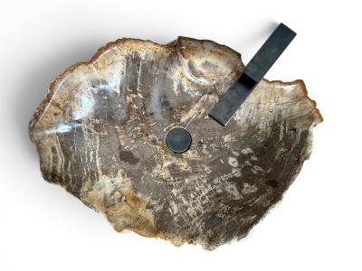WASCHBECKEN AUS FOSSILEM HOLZ MOANDA