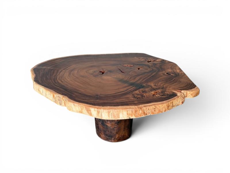 MESA PRINCIPAL DE SUAR ALPHA