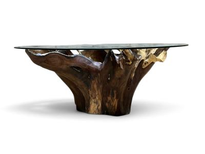 CHIARA ROOT COFFEE TABLE