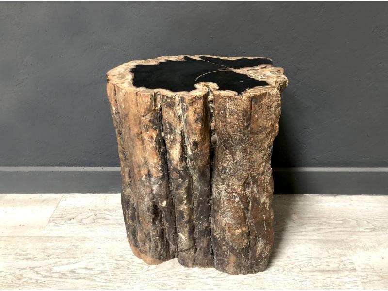  TABLE  BASSE  EN BOIS  FOSSILIS   BELMONT