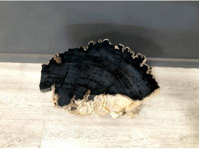 FOSSILIZED WOODEN COFFEE TABLE LYS