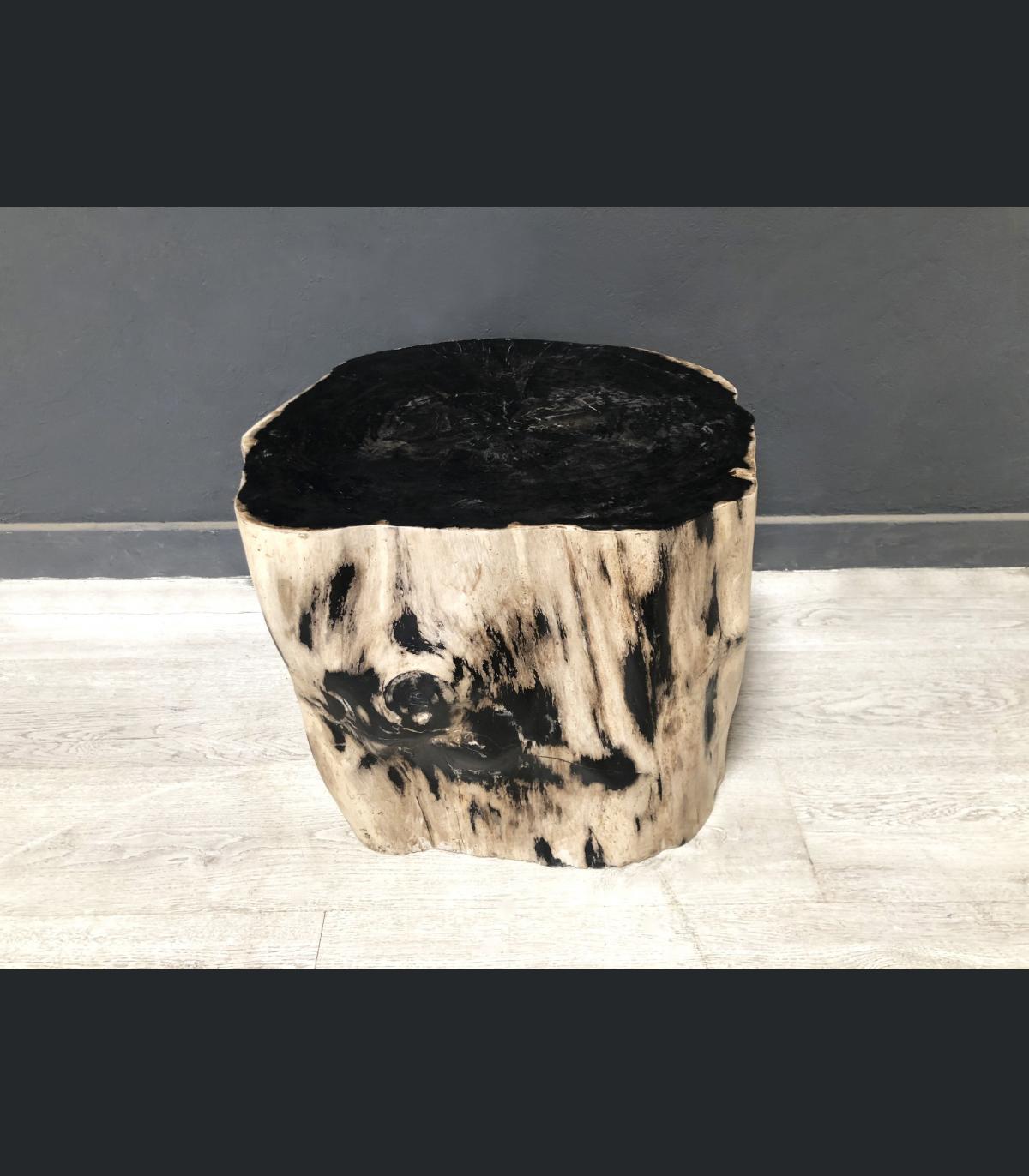  TABLE  BASSE  EN BOIS  FOSSILIS   HANOI