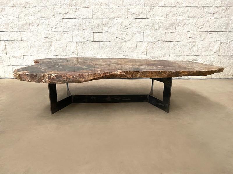 Natural Petrified Wood Coffee Table, Petrified Wood Sofa Table