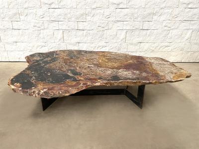 NATURAL FOSSILIZED WOOD COFFEE TABLE