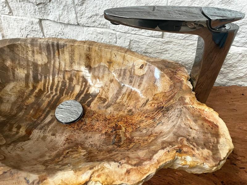 EXCLUSIVE PETRIFIED WOOD SINK HOLLY