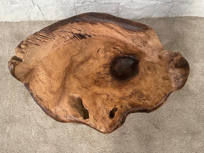 TEAK ROOT TABLE SOPHIE