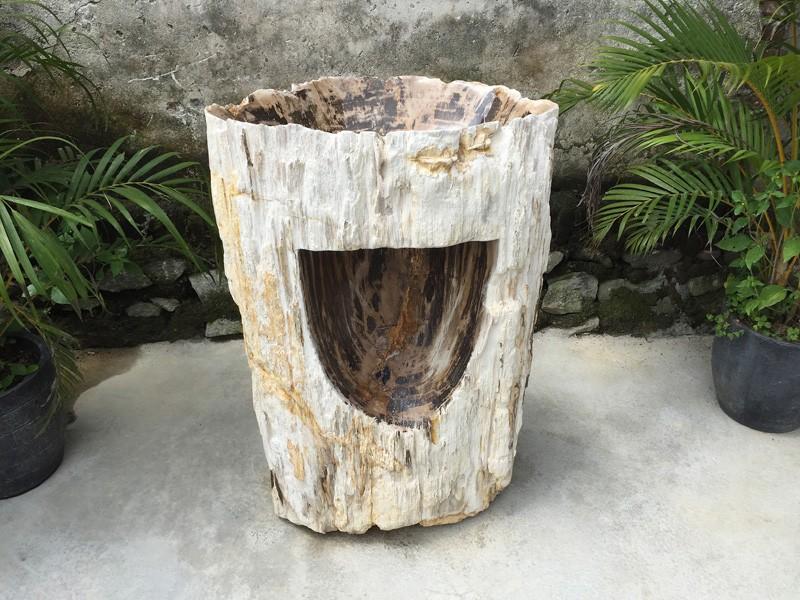 Acheter Vasque sur pied en bois petrifie Brazil